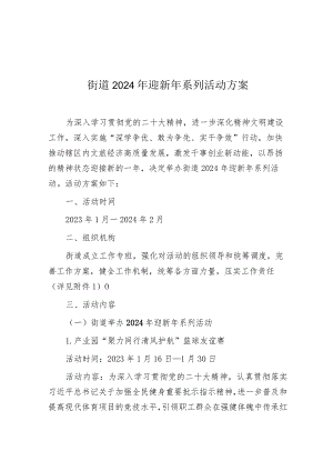 2024年迎新年系列活动方案（街道）.docx