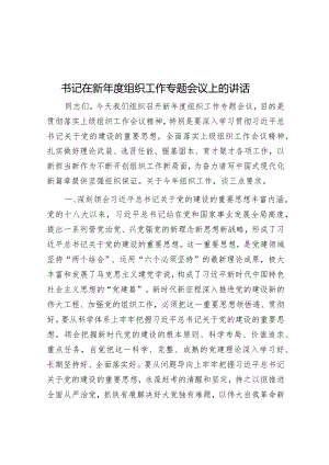 书记在新年度组织工作专题会议上的讲话.docx