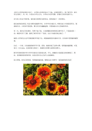 太阳与小草的故事.docx