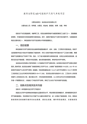 工业领域绿色低碳技术应用案例5 降低110吨熔炼炉天然气单耗项目.docx