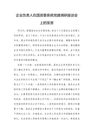 在国资委系统党建调研座谈会上的发言（企业负责人）.docx