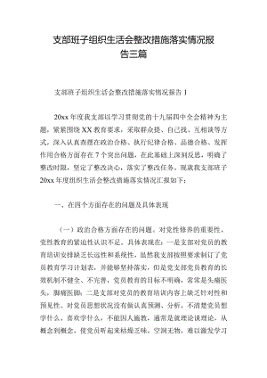 支部班子组织生活会整改措施落实情况报告三篇.docx