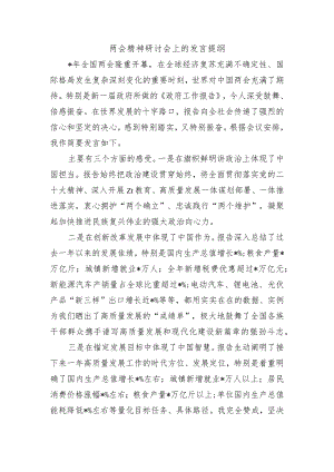 两会精神研讨会上的发言提纲.docx