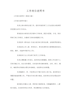 工作岗位说明书.docx