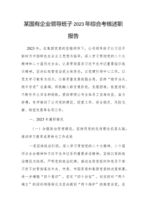 2023年度综合考核述职报告（国有企业领导班子）.docx