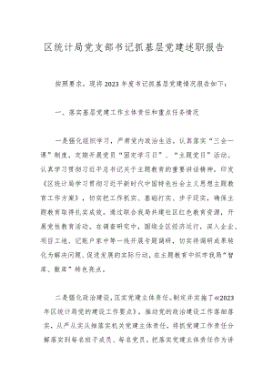 区统计局党支部书记抓基层党建述职报告.docx
