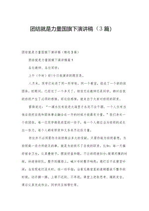 团结就是力量国旗下演讲稿（3篇）.docx