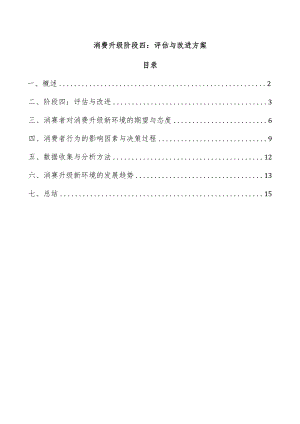 消费升级阶段四：评估与改进方案.docx
