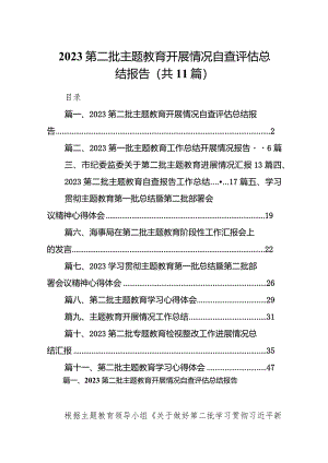 第二批专题教育开展情况自查评估总结报告11篇供参考.docx