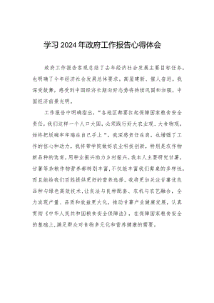 全国两会2024年政府工作报告的心得体会二十篇.docx