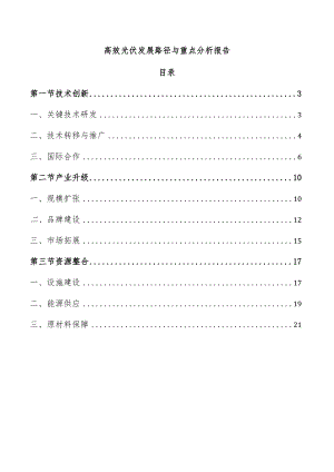 高效光伏发展路径与重点分析报告.docx
