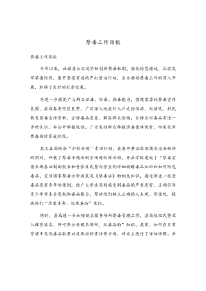 禁毒工作简报.docx