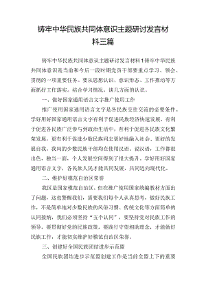 铸牢中华民族共同体意识主题研讨发言材料三篇.docx
