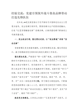 经验交流：党建引领筑牢战斗堡垒品牌带动打造先锋队伍.docx
