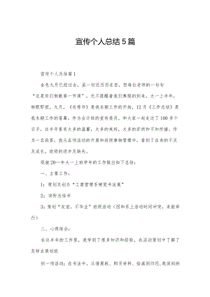 宣传个人总结5篇.docx