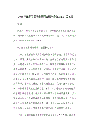 2024年在学习贯彻全国两会精神会议上的讲话3篇.docx