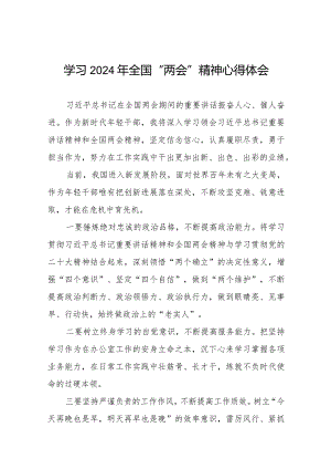 2024年全国两会精神学习心得体会30篇.docx