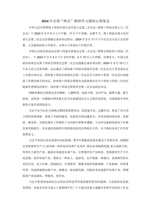 2024年全国“两会”精神学习感悟发言材料.docx