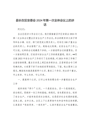 县长在区安委会2024年第一次全体会议上的讲话.docx