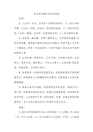 读书笔记摘抄好段及感悟.docx