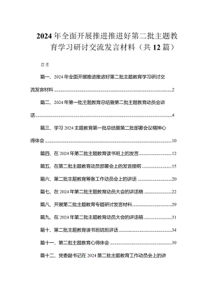 2024年全面开展推进推进好第二批专题教育学习研讨交流发言材料（共12篇）.docx