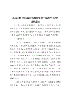 2023年度抓基层党建工作述职和述责述廉报告（审计局）.docx
