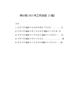 2023年工作总结（审计局）（5篇）.docx