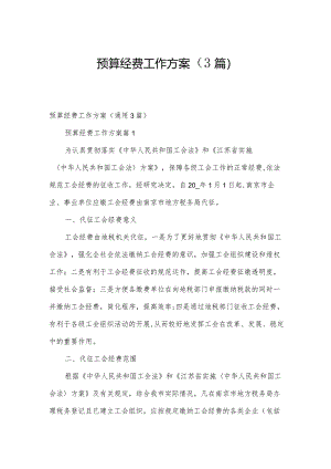 预算经费工作方案（3篇）.docx