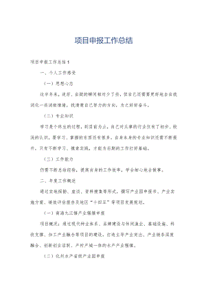 项目申报工作总结.docx