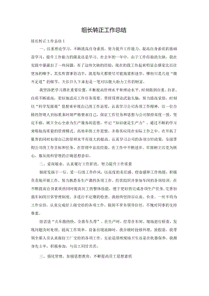 组长转正工作总结.docx