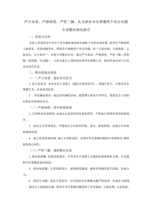 严守承诺、严格制度、严把三圈扎实抓好享乐奢靡四个突出问题专项整治情况报告.docx