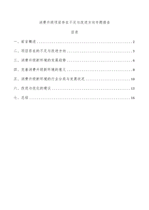 消费升级项目存在不足与改进方向专题报告.docx