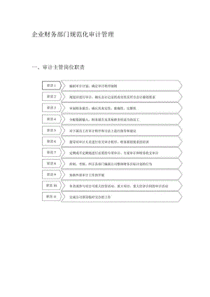 企业财务部门规范化审计管理.docx