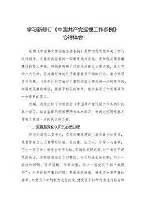 街道干部关于学习新修订《中国共产党巡视工作条例》心得体会交流发言(五篇).docx