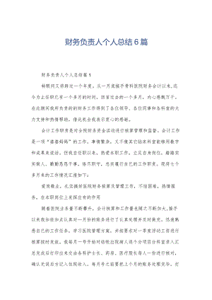 财务负责人个人总结6篇.docx