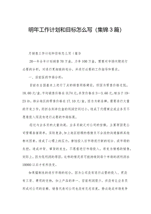 明年工作计划和目标怎么写(集锦3篇).docx