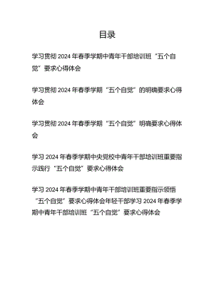 学习贯彻2024年春季学期中青年干部培训班“五个自觉”要求心得体会6篇.docx