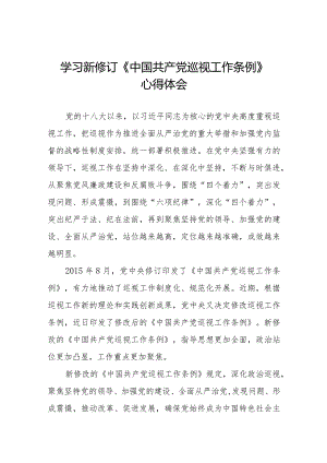 最新版范文学习新修订《中国共产党巡视工作条例》心得体会(五篇).docx