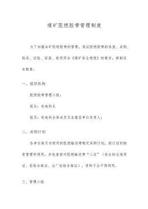 煤矿阻燃胶带管理制度.docx