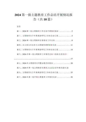 第一批专题工作总结开展情况报告（共10篇）.docx