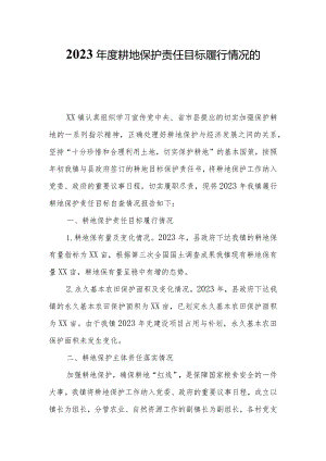 2023年度耕地保护责任目标履行情况的自查报告.docx