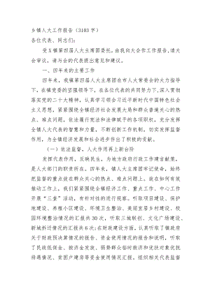 乡镇人大工作报告.docx