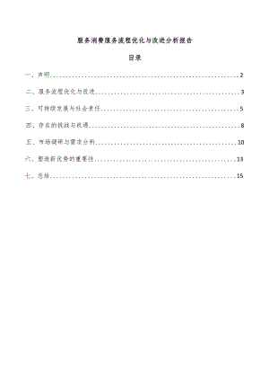 服务消费服务流程优化与改进分析报告.docx