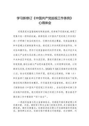 2024版新修订中国共产党巡视工作条例的学习心得体会11篇.docx