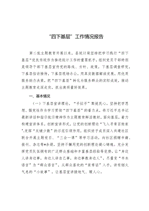 “四下基层”工作情况报告（统计局）.docx