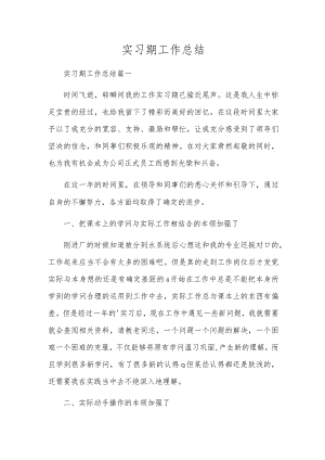 实习期工作总结.docx