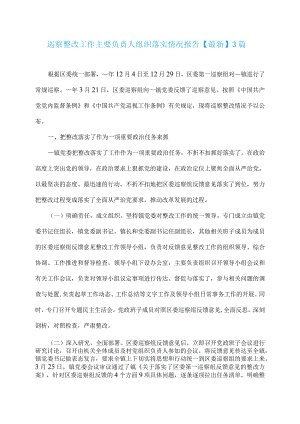 巡察整改工作主要负责人组织落实情况报告【最新】-3篇.docx