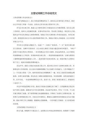 主管试用期工作总结范文.docx
