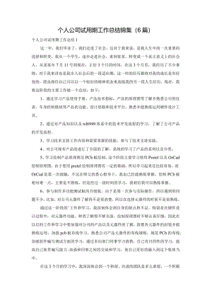 个人公司试用期工作总结锦集（6篇）.docx