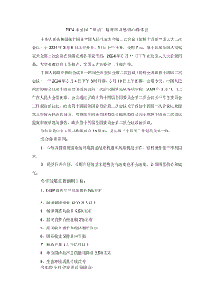 2024年全国“两会”精神学习感悟发言材料二.docx